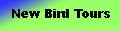 New Bird Tours